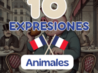 10 Expresiones Francesas con Animales